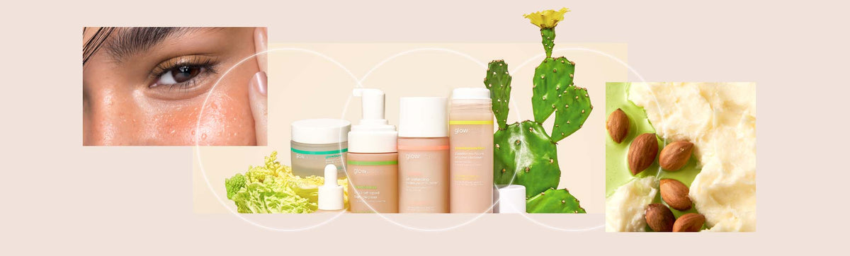 glowoasis vegan probiotics skincare product line 