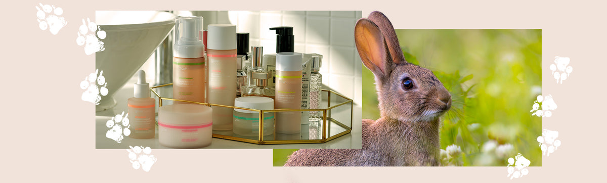 glowoasis cruelty free and vegan skincare product line